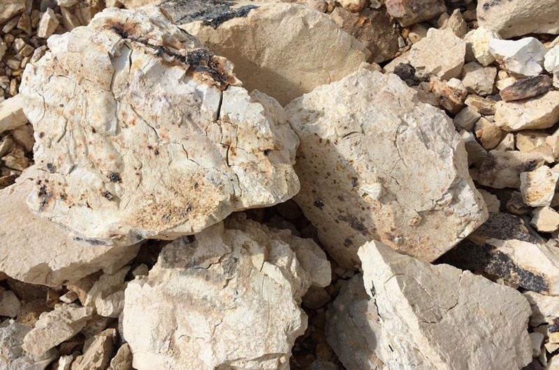 粘土礦物 粘土礦物